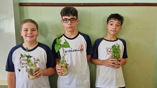 7� Ano - Germina��o de feij�o utilizando papel toalha Col�gio Passionista S�o Jos�