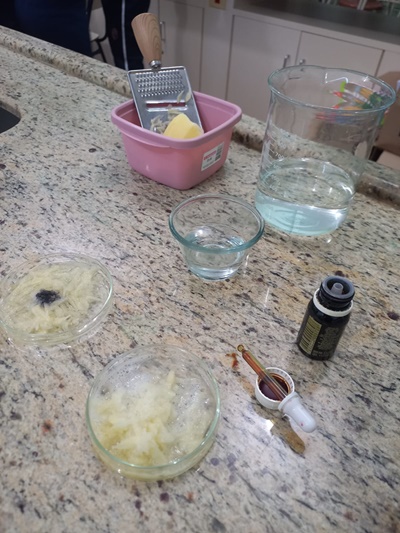 5� Ano A e B - Experi�ncia: Digest�o de alguns compostos pela saliva Col�gio Passionista S�o Jos�