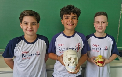 6� Ano - Sistema Esquel�tico Col�gio Passionista S�o Jos�