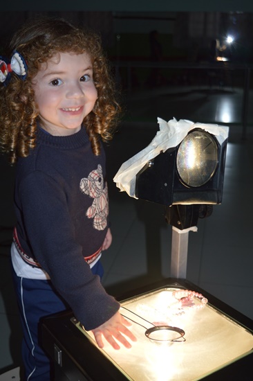 Maternal II B - Sombras M�gicas Col�gio Passionista S�o Jos�