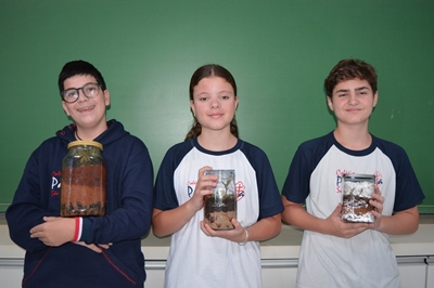 7� Ano - Terr�rio Col�gio Passionista S�o Jos�