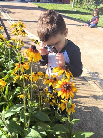 Maternal II - Vaca Fot�grafa Col�gio Passionista S�o Jos�